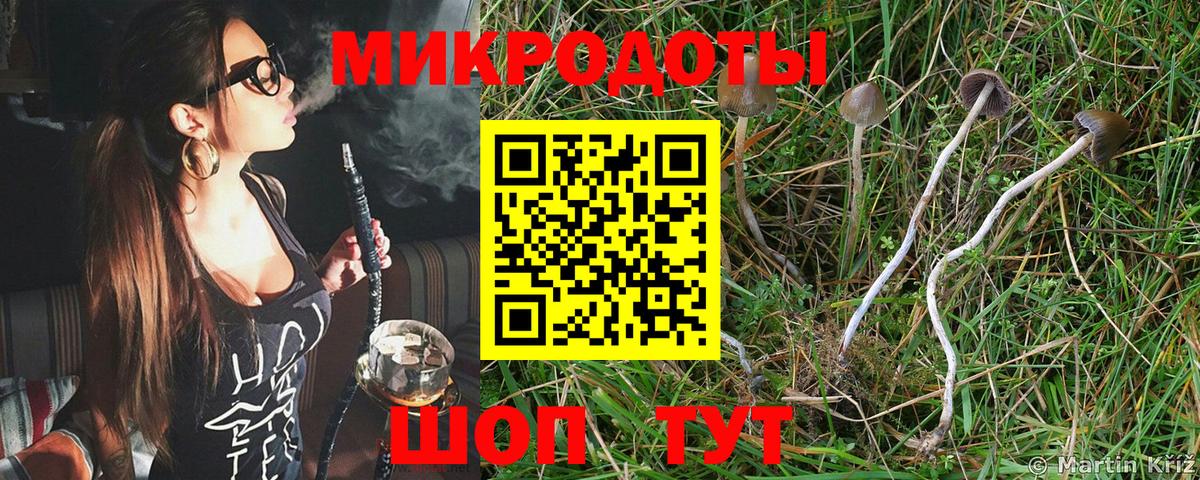 Ярцево  Псилоцибиновые грибы ЛСД  Вход с VPN  Псилоцибиновые грибы мухоморы 
